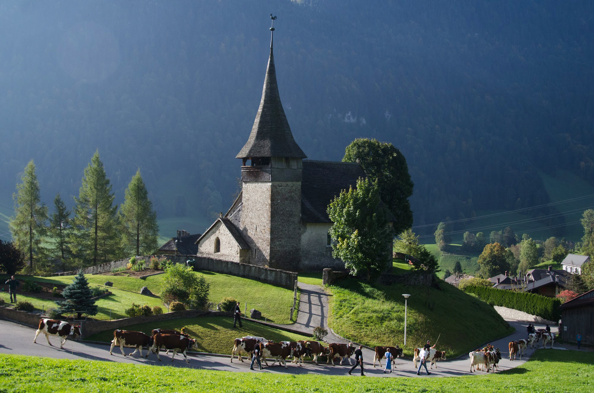 Parc Naturel Régional Gruyère Pays-d'Enhaut