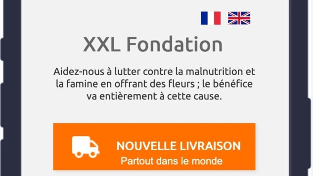 Wireframes (maquettes interactives) Wireframes (maquettes interactives)